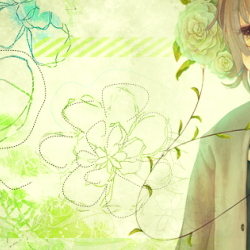content/headers/archive/163.png