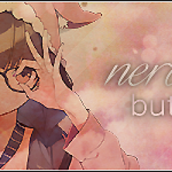 content/headers/archive/557.png